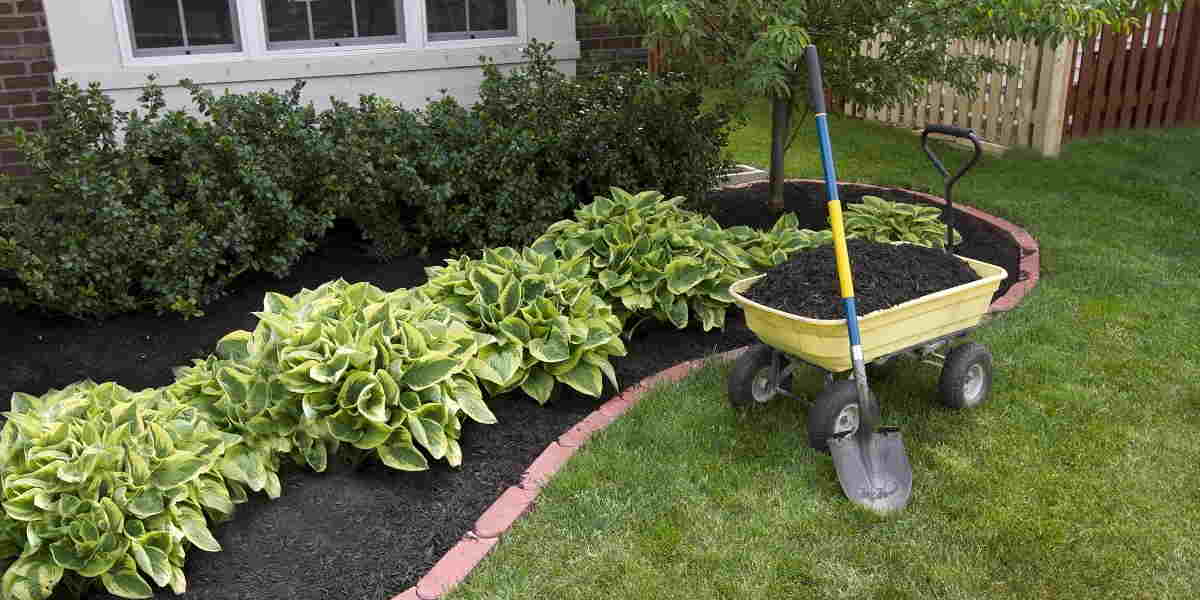 Low Maintenance Landscaping Ideas