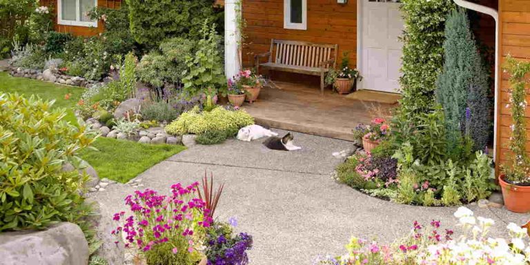 Top Landscape Design Ideas for Small Properties
