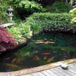 Essential Features For Creating A Landscaped Japanese Garden